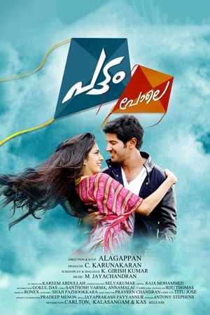 Pattam Pole (2013) (Hindi – Malayalam) Dual Audio 400MB - Movierulz