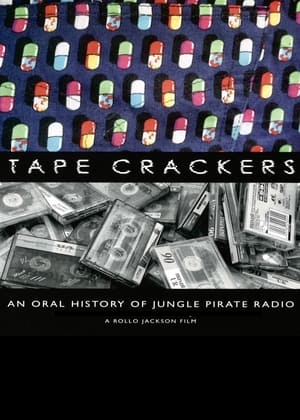 Pirate Radio (2009) Hindi Dual Audio 400MB - Movierulz