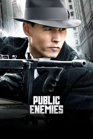 Public Enemies (2009) Hindi Dual Audio 400MB - Movierulz