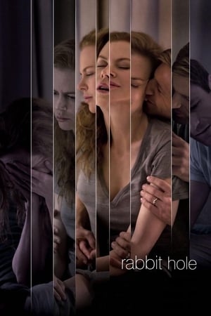 Rabbit Hole (2010) Hindi Dual Audio 300MB - Movierulz