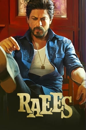 Raees 2017 400MB Full Movie - Movierulz