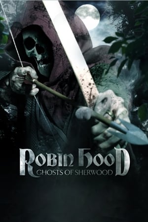 Robin Hood: Ghosts of Sherwood (2012) Hindi Dual Audio [1GB] - Movierulz