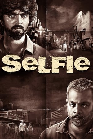 Selfie (2022) [Hindi + Tamil] – – - Movierulz