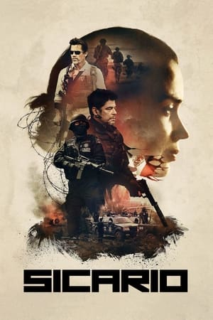 Sicario 2015 Hindi Dual Audio 350MB - Movierulz