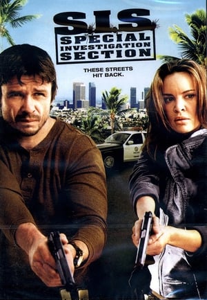 SIS Special Investigation Section 2008 Hindi Dual Audio 270MB - Movierulz