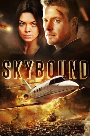 Skybound (2017) Hindi Dual Audio [1.2GB] - Movierulz