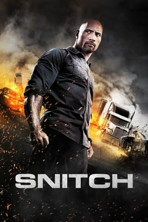Snitch (2013) Hindi Dual Audio [930MB] - Movierulz