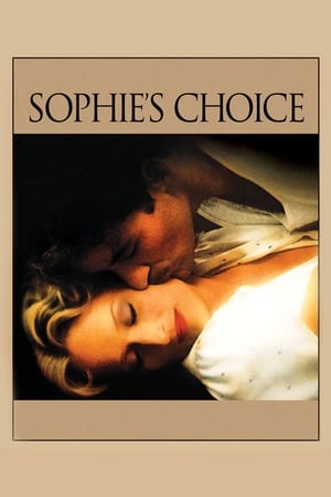 Sophie's Choice (1982) Dual Audio Hindi 460MB - Movierulz