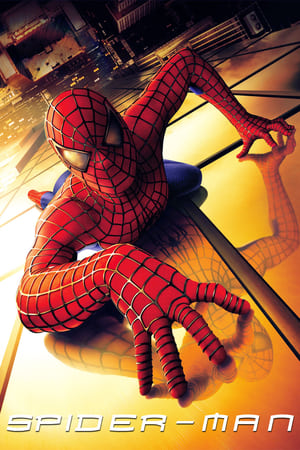 Spider Man (2002) Hindi Dual Audio [800MB] Download - Movierulz