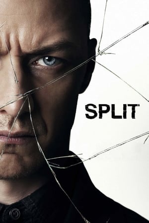 Split (2016) Hindi Dual Audio [1GB] - Movierulz