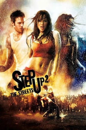 Step Up 2 The Streets 2008 Hindi Dual Audio [700MB] - Movierulz