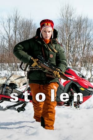 Stolen (2024) Hindi Dual Audio – 720p – - Movierulz