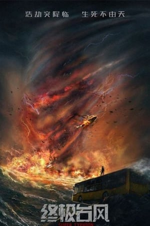 Super Typhoon 2020 Hindi Dual Audio – - Movierulz