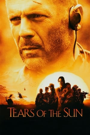 Tears of the Sun 2003 Hindi Dual Audio 360MB - Movierulz