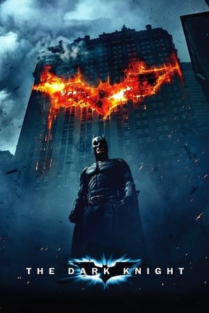 The Dark Knight (2008) Hindi Dual Audio [1.0GB] Download - Movierulz