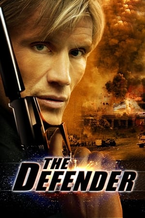 The Defender (2004) Hindi Dual Audio 300MB - Movierulz