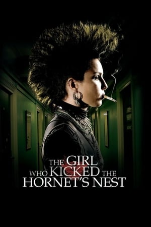 The Girl Who Kicked the Hornet's Nest (2009) Hindi Dual Audio 450MB - Movierulz