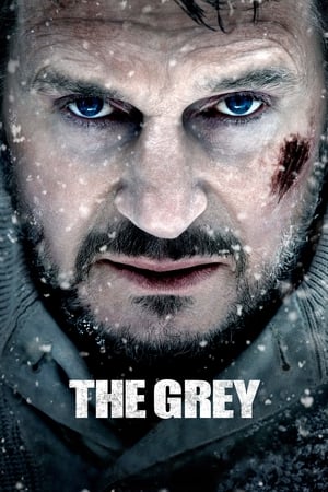 The Grey 2011 Hindi Dual Audio 360MB - Movierulz