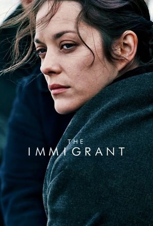 The Immigrant (2013) Hindi Dual Audio [880MB] - Movierulz