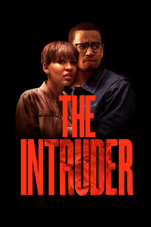The Intruder (2019) Hindi Dual Audio 350MB - Movierulz