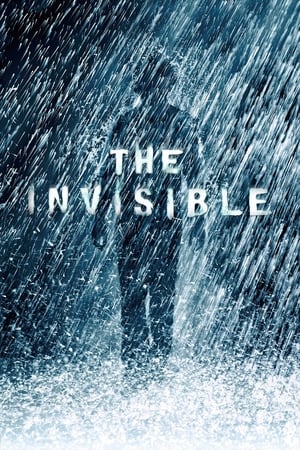 The Invisible 2007 Hindi Dual Audio 300MB - Movierulz