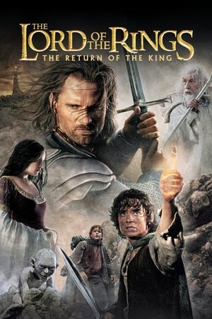 The Lord of the Rings: The Return of the King (2003) Hindi Dubbed [1.8GB] Download - Movierulz