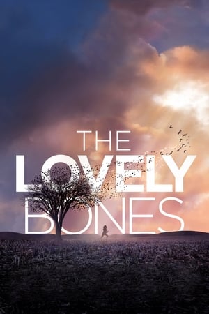 The Lovely Bones (2009) Hindi Dual Audio [1GB] - Movierulz