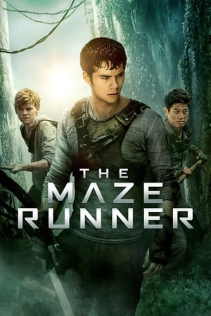 The Maze Runner (2014) Hindi Dual Audio [1.1GB] - Movierulz