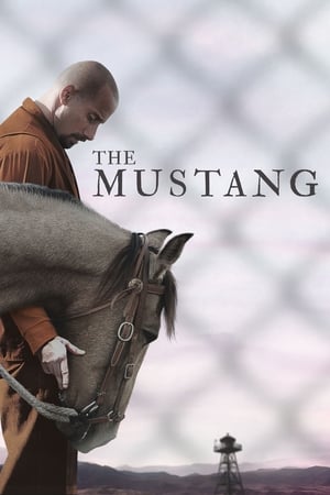 The Mustang (2019) Hindi Dual Audio [900MB] - Movierulz