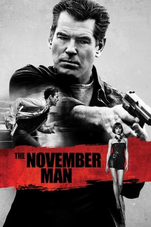The November Man 2014 100mb Hindi Dual Audio movie Download - Movierulz