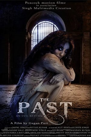 The Past 2018 Hindi Movie [940MB] - Movierulz