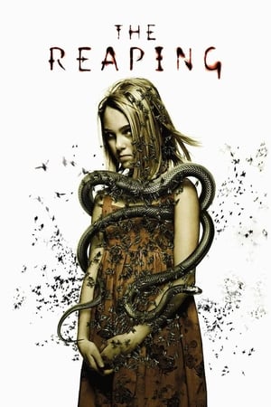 The Reaping (2007) Hindi Dual Audio 340MB - Movierulz