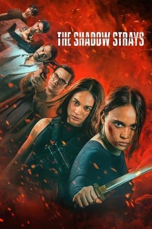 The Shadow Strays 2024 Hindi Dual Audio – 720p – - Movierulz