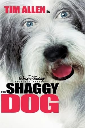 The Shaggy Dog (2006) Hindi Dual Audio [950MB] - Movierulz