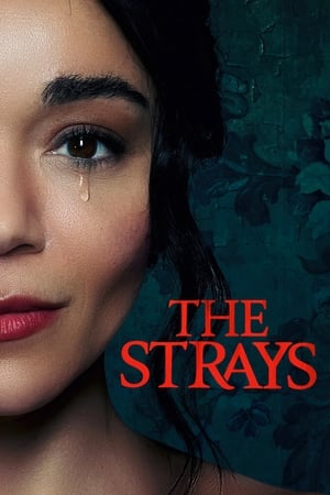 The Strays 2023 Hindi Dual Audio – - Movierulz