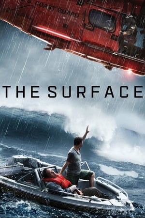 The Surface (2014) Hindi Dual Audio [800MB] - Movierulz
