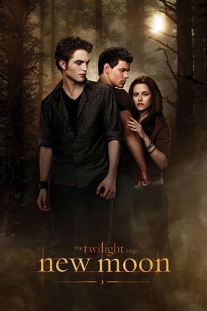 The Twilight Saga New Moon (2009) Hindi Dual Audio [1.0GB] Download - Movierulz