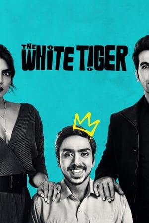 The White Tiger (2021) Hindi Movie – [370MB] - Movierulz