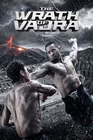 The Wrath of Vajra (2013) Hindi Dual Audio [900MB] - Movierulz