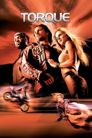 Torque 2004 300MB Hindi Dual Audio Download - Movierulz