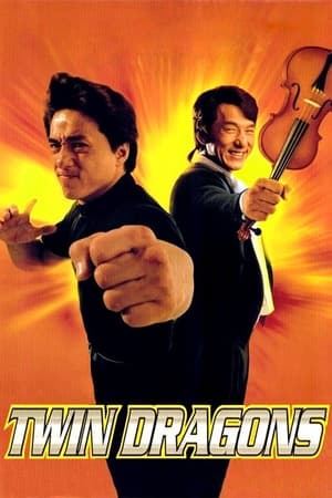 Twin Dragons 1992 [Hindi] Dual Audio 300MB - Movierulz