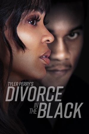 Tyler Perry’s Divorce in the Black (2024) Hindi Dual Audio – 720p – 480p