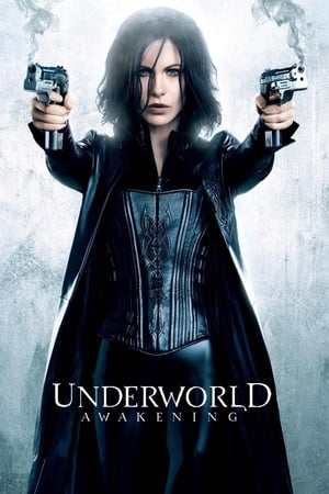 Underworld Awakening (2012) 100mb Hindi Dual Audio movie Download - Movierulz