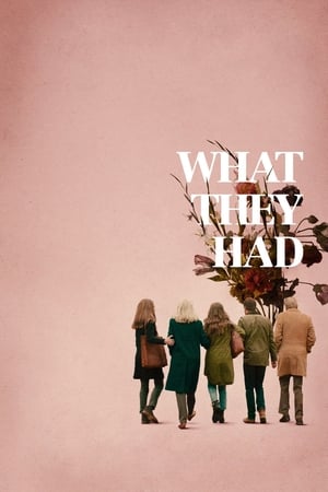 What They Had (2018) Hindi Dual Audio [900MB] - Movierulz