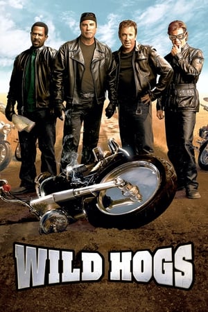 Wild Hogs (2007) Hindi Dual Audio 340MB - Movierulz