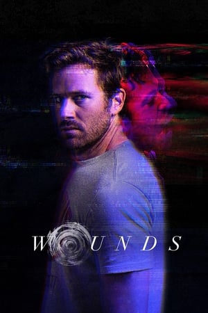 Wounds (2019) Hindi Dual Audio 300MB - Movierulz