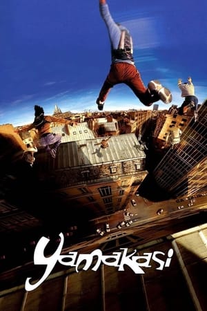 Yamakasi 2001 Hindi Dual Audio [980MB] - Movierulz