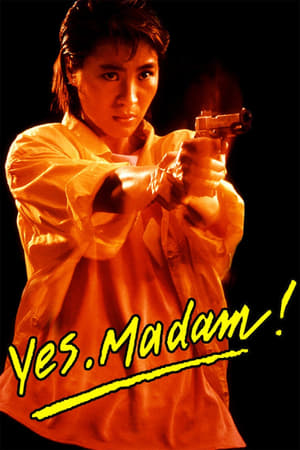 Yes Madam 1985 Hindi Dubbed [900MB] Download - Movierulz