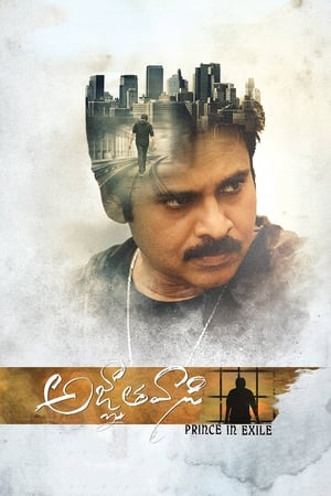 Yevadu 3 (Agnyaathavaasi) 2018 Dual Audio Hindi 450MB - Movierulz