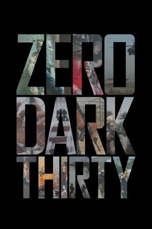 Zero Dark Thirty 2012 Hindi Dual Audio 450MB - Movierulz